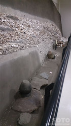 モヨロ貝塚館(3)