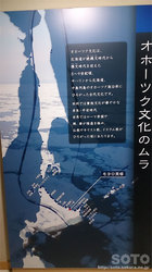 モヨロ貝塚館(5)
