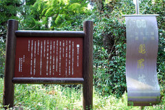 亀尾城址(3)