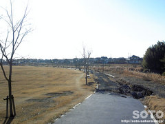 菊池河川公園(2)
