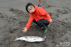 釣れました!