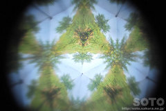 ؋ifWC`j