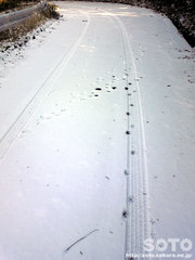 雪の上の足跡(2)