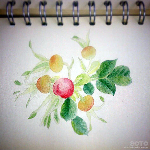 お絵描き(021)