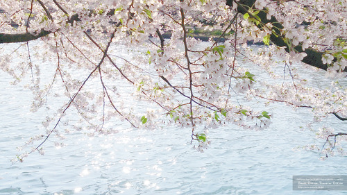 弘前城3(青森県)
