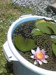 110606_112500.jpg