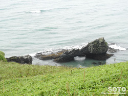 霧多布岬(12)