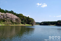 湯舟溜め池