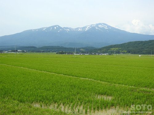 鳥海山(2019/06/21)