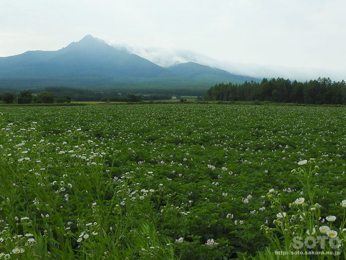 清里から見た斜里岳