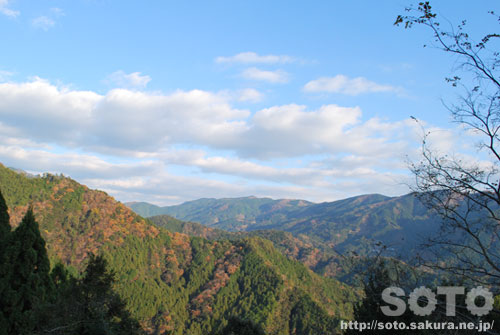 R̕ii20111212_1j