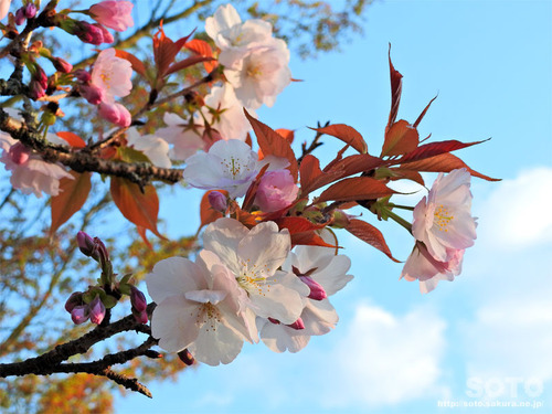 er̍i2019/04/05-4j