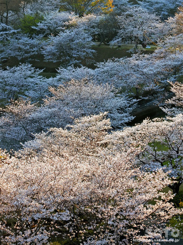 er̍i2019/04/05-6j