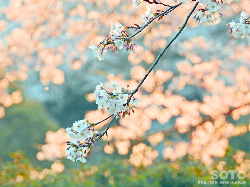 er̍i2019/04/05-9j