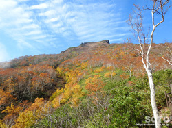 層雲峡・黒岳(23)