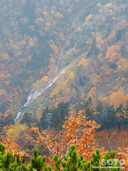 層雲峡・黒岳(26)