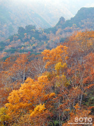 層雲峡・黒岳(27)