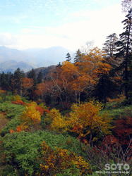 層雲峡・黒岳(29)