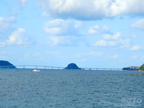 角島海域(角島大橋)