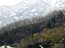 月山湖(6)