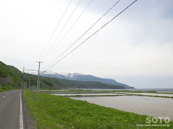 R229(田んぼ?)