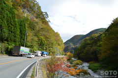 盛街道の紅葉(3)