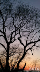 [ii2014/01/19-2j