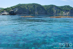 美国の海