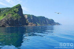 黄金岬