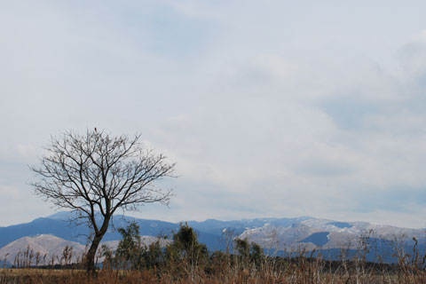 風景(1)