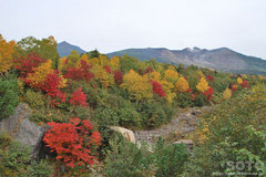 望岳橋からの眺め