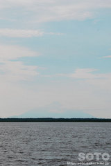 �p���P���i���K�x�m�j