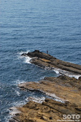 Z̒fRiނlj