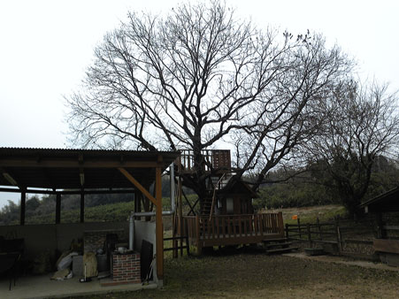 玉名牧場(1)