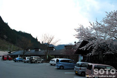 木の花ガルテン(1)