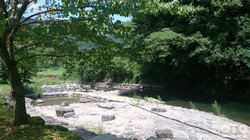 smiSj
