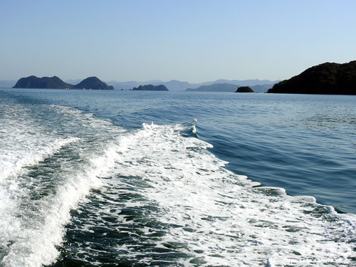 青海島一周(28)