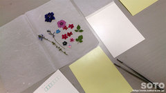 押し花体験(1)