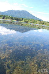 阿寒湖カヌー(8)
