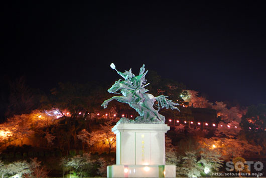 菊池の夜桜(7)