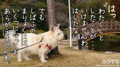 八景水谷公園(マリリン)