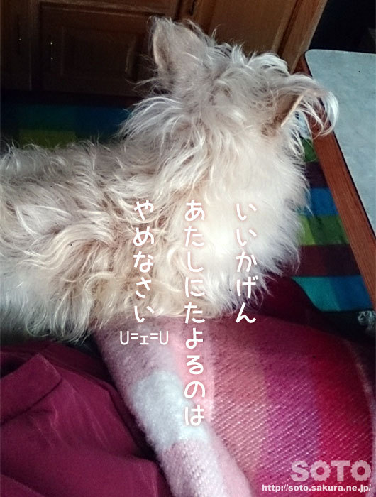 }̔w