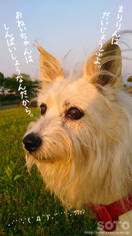 ܂͂傤