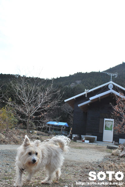 山小屋とマリリン