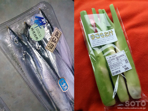 道の駅むろね(サンマとマコモ)