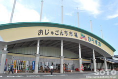 ƂiPj