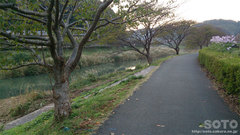 下賀茂温泉 湯の花(2)