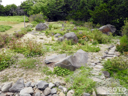 ΗmفiRAj