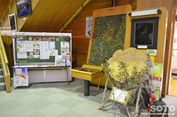 山形県立自然博物園(2)