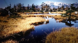 大雪山写真ミュージアム(10)